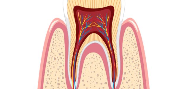 Root Canal Treatment: Your Guide to Saving Your Smile with Dr. Amit Thareja in Pune